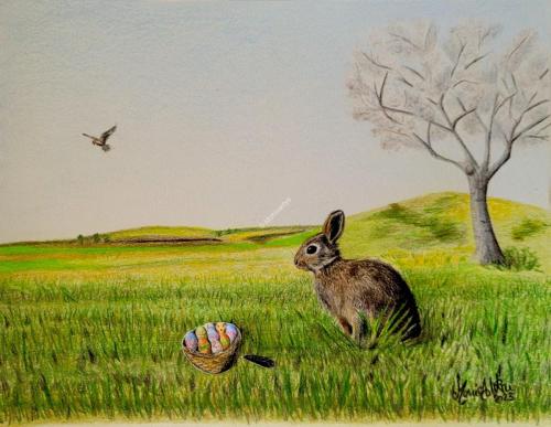 Monica Urru - Ritratti e illustrazioni di Mammiferi: Coniglio nella Prateria